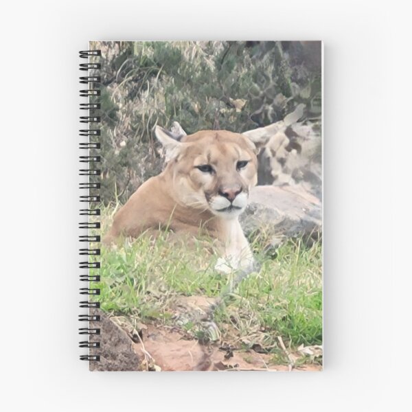 Item preview, Lioness designed and sold by Glancebehindpic.