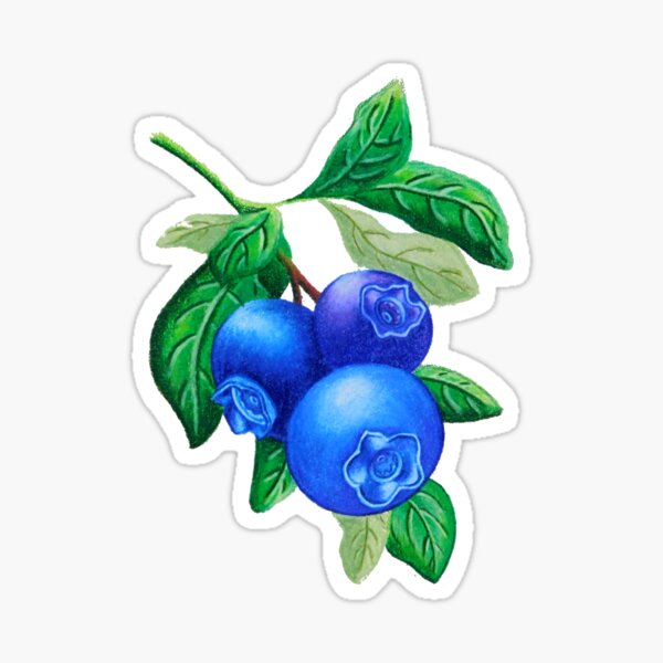 Item preview, Sweet Blueberries with Lavender designed and sold by Mallory Harrington.