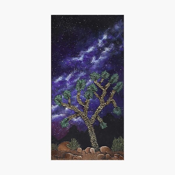 Starry Joshua Tree Photographic Print