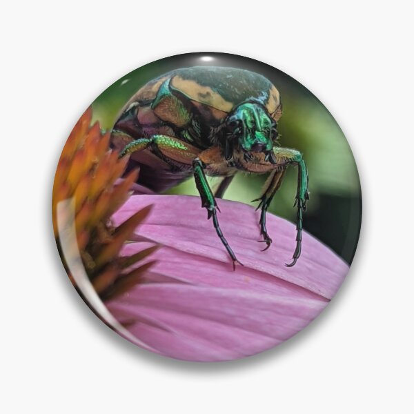 Item preview, June Bug designed and sold by searchlight.