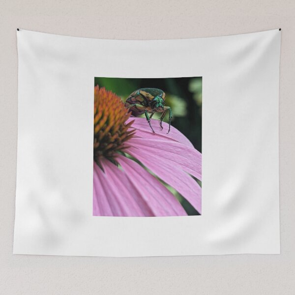 Item preview, June Bug designed and sold by searchlight.