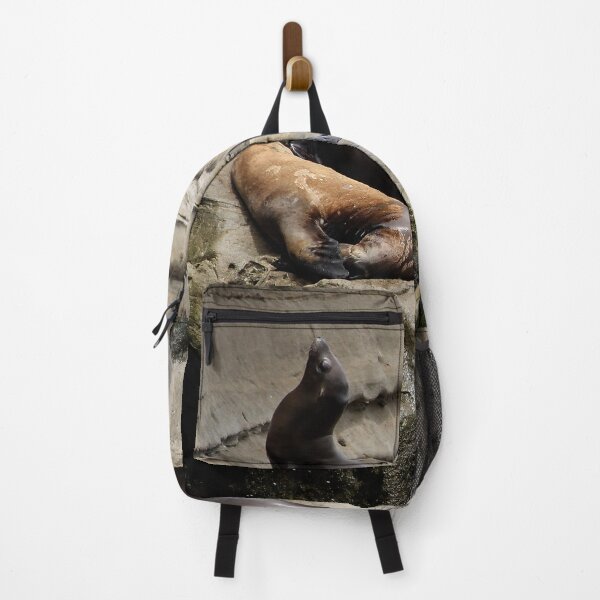 Item preview, Young Sea Lions at the Cove designed and sold by heatherfriedman.