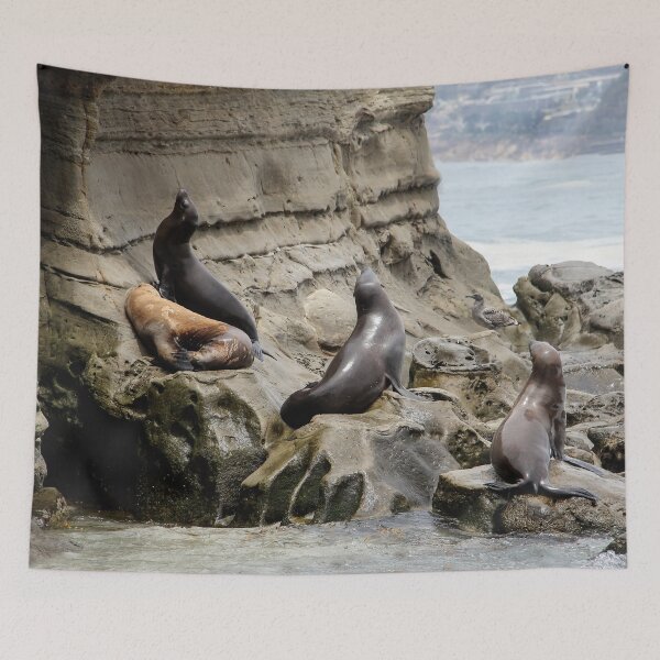 Item preview, Young Sea Lions at the Cove designed and sold by heatherfriedman.