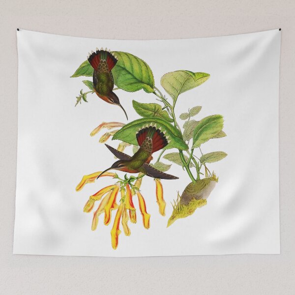 Item preview, Bird Lanceolate Hermit designed and sold by Thelmasutton.