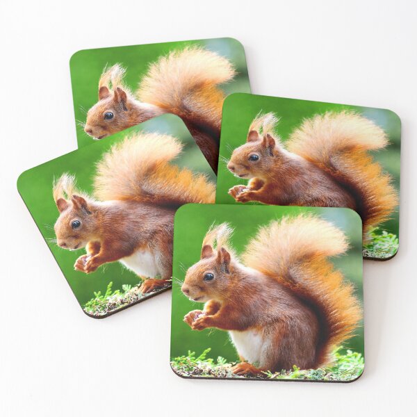 Item preview, ANIMALS #61 - Adorable Red Squirrel Close-Up designed and sold by DEL-Productions.