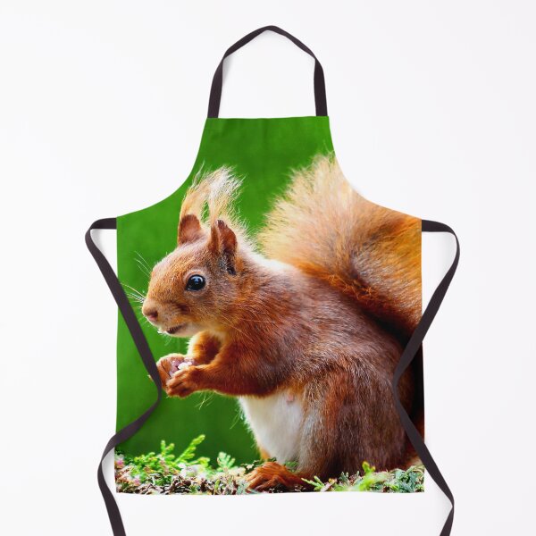 Item preview, ANIMALS #61 - Adorable Red Squirrel Close-Up designed and sold by DEL-Productions.