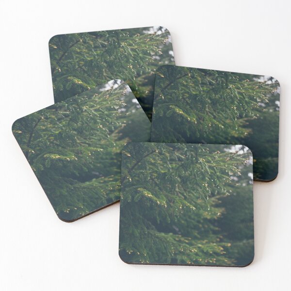 Item preview, Raindrops on green fir-tree branch designed and sold by igvee.