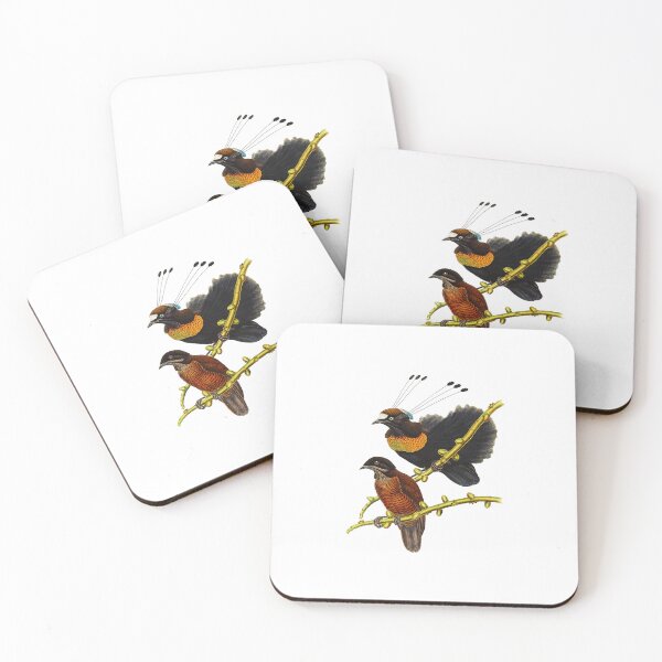 Item preview, Bird Of Paradise Parotia Lawesii designed and sold by Thelmasutton.