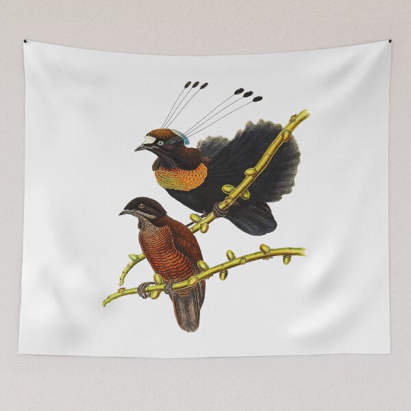 Item preview, Bird Of Paradise Parotia Lawesii designed and sold by Thelmasutton.