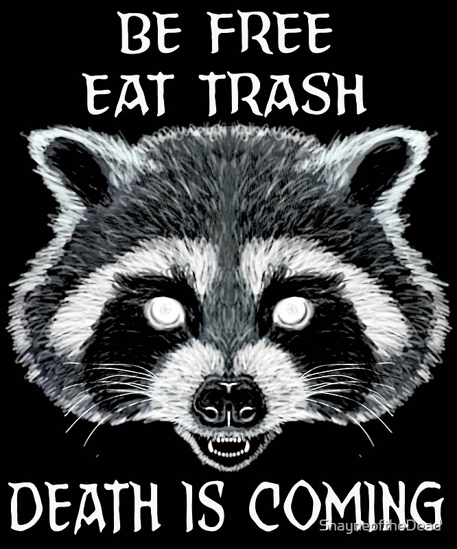 "Trash Panda Meme" by ShayneoftheDead Redbubble