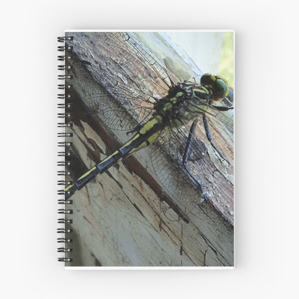 Item preview, Dragonfly Reflected designed and sold by Jing3011.