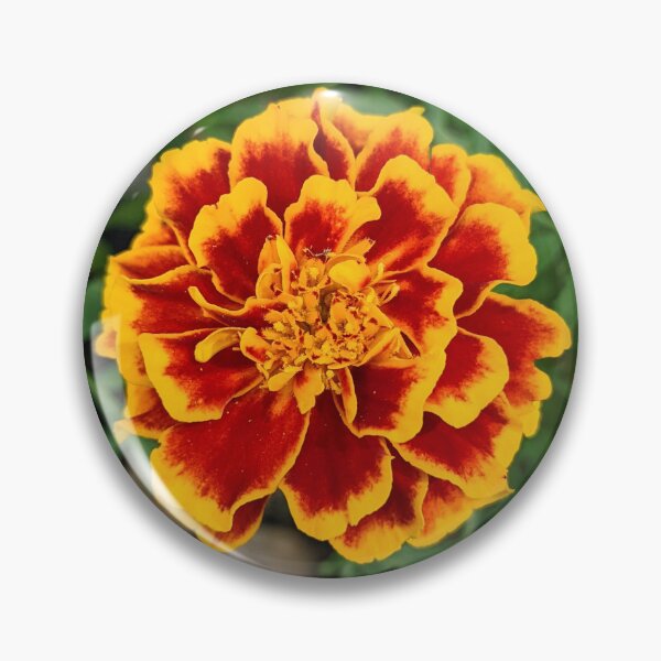 Item preview, Marigold Overhead View designed and sold by arfff.