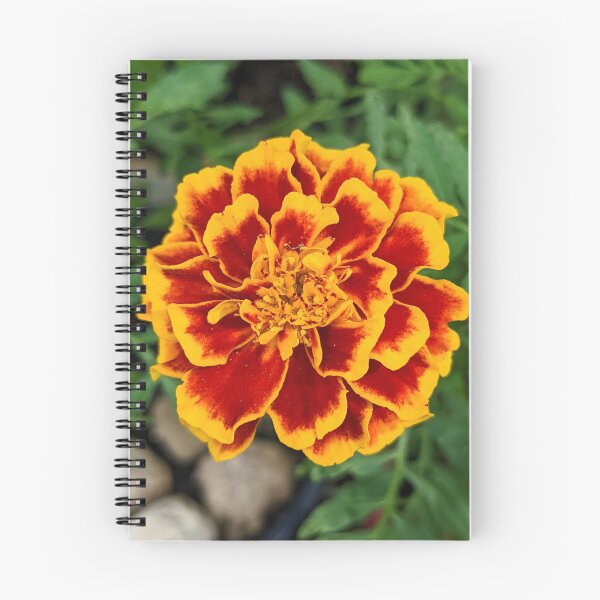 Item preview, Marigold Overhead View designed and sold by arfff.