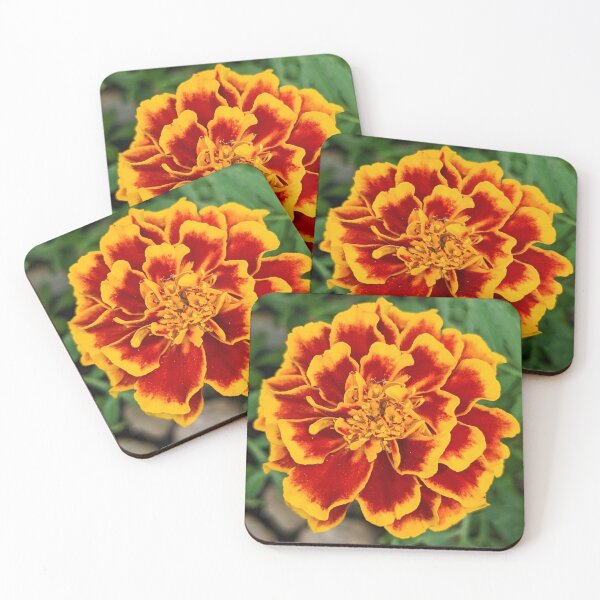 Item preview, Marigold Overhead View designed and sold by arfff.