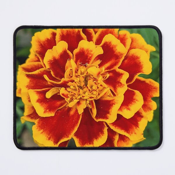 Item preview, Marigold Overhead View designed and sold by arfff.
