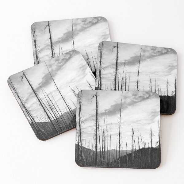 Item preview, Looking Up Series-regrowth  designed and sold by blancnoirphoto.