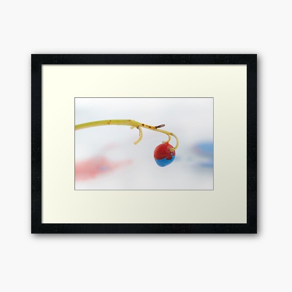 The Patriot Framed Art Print