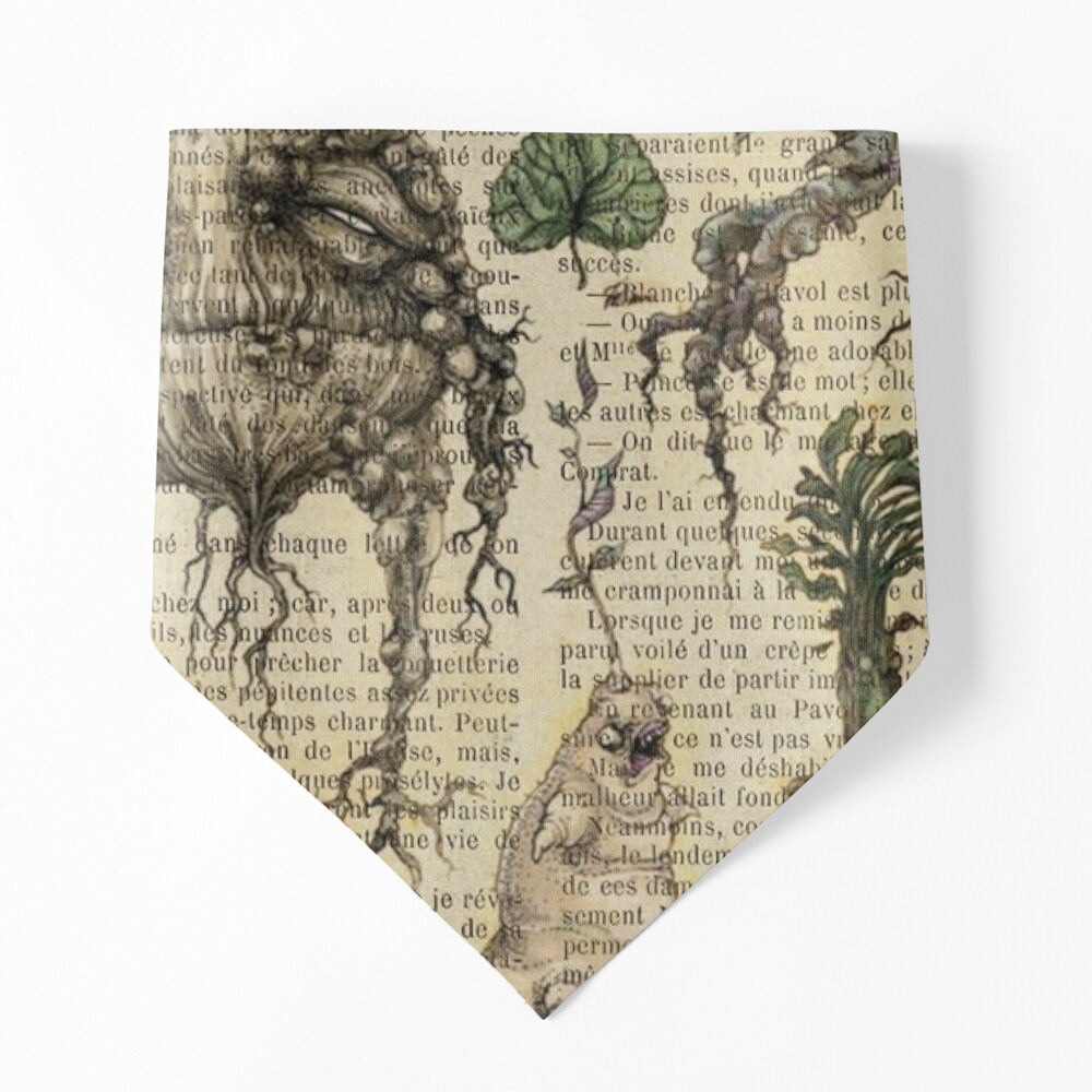 Botanical print, on old book page - Mandragora Tapestry for Sale by Art  Dream Studio