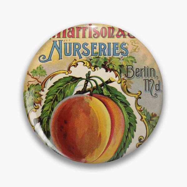 Item preview, Vintage 1902 Harrison & Sons Nurseries Fall Ad designed and sold by MochaMeli.