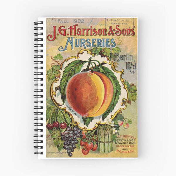 Item preview, Vintage 1902 Harrison & Sons Nurseries Fall Ad designed and sold by MochaMeli.