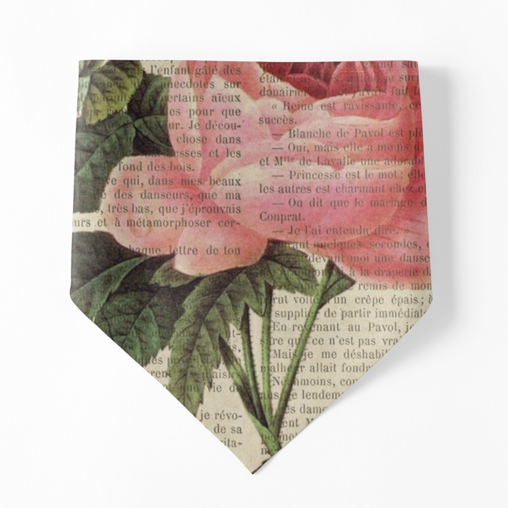 Botanical print, on old book page - Roses Poster for Sale by Art Dream  Studio