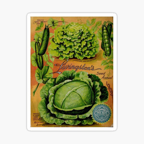 Aperçu de l'œuvre Catalogue de légumes de semences de Livingston Vintage 1904 créée et vendue par MochaMeli.