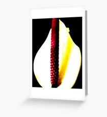 Stamen Greeting Card