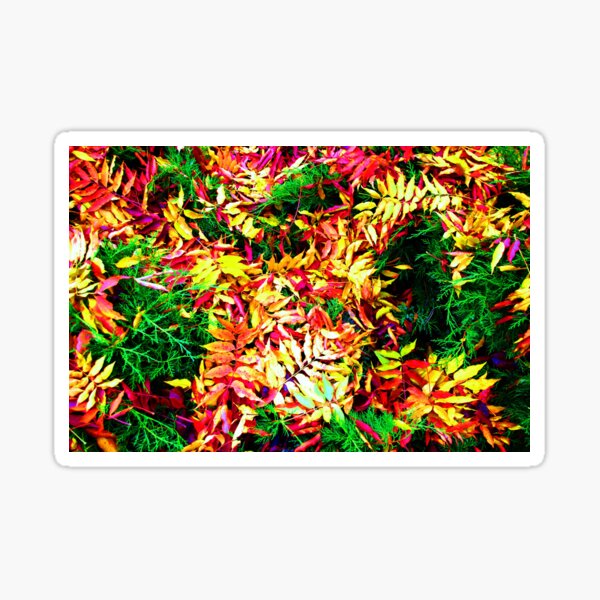 Item preview, Autumn Joy designed and sold by AlysiaMcC13.