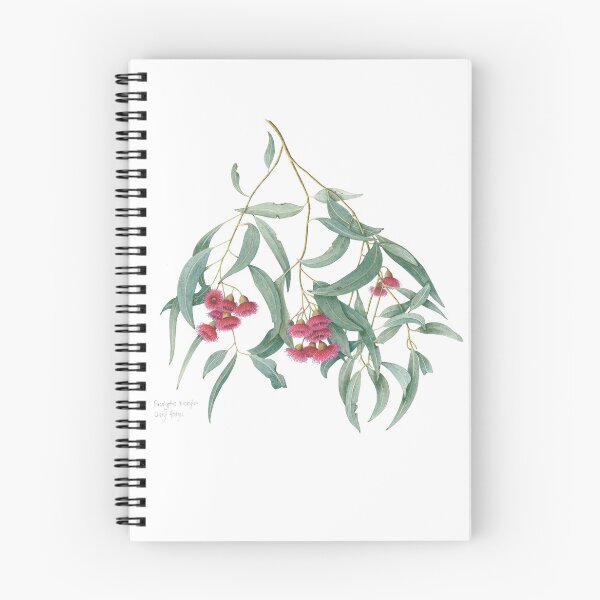 Item preview, Eucalyptus leucoxylon designed and sold by Cheryl Hodges.