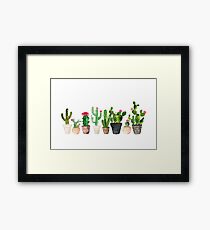 Lámina enmarcada Cactus