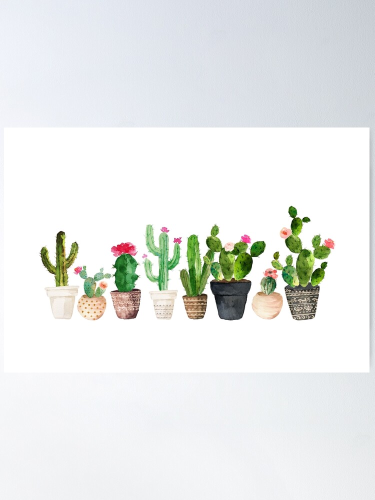 Alternate view of Cactus Poster