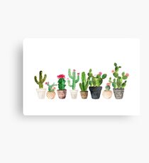 Cactus Metal Print