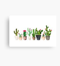 Cactus Canvas Print