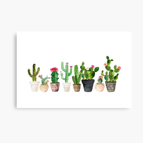 Cactus Canvas Print