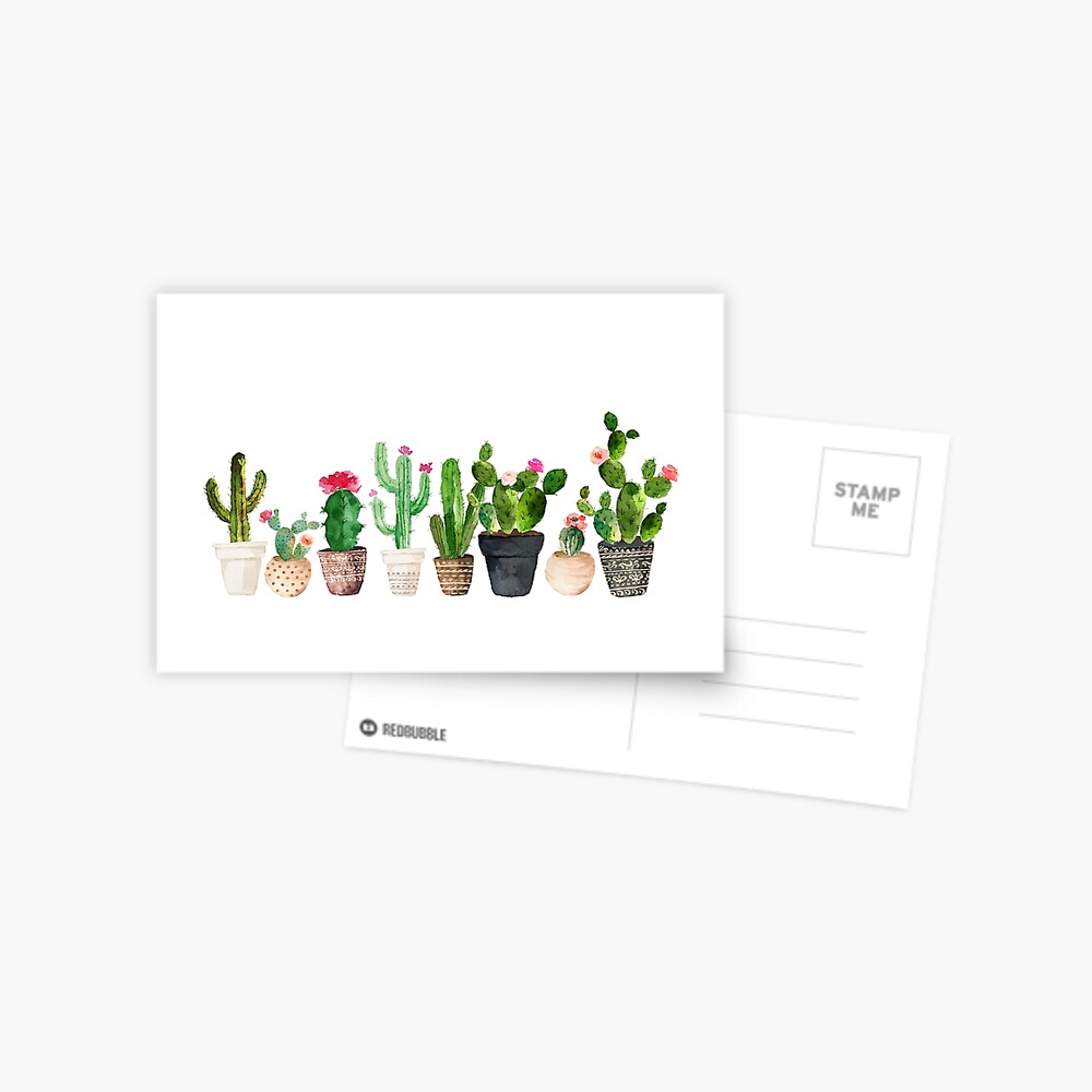 Cactus Postcard