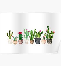 Cactus Poster