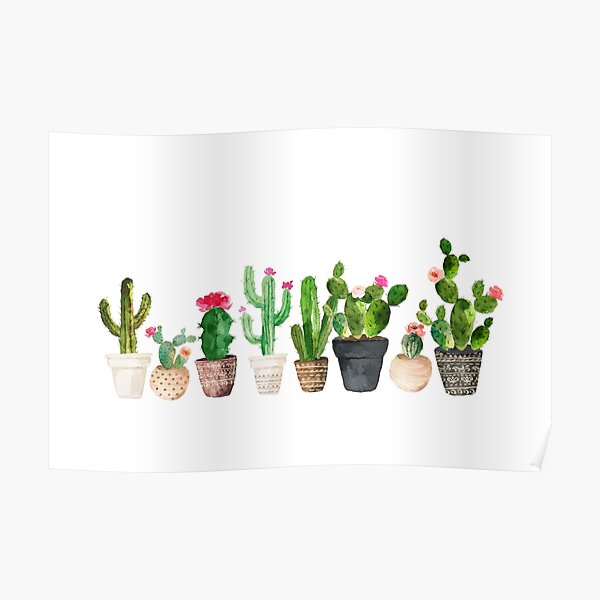 Cactus Poster