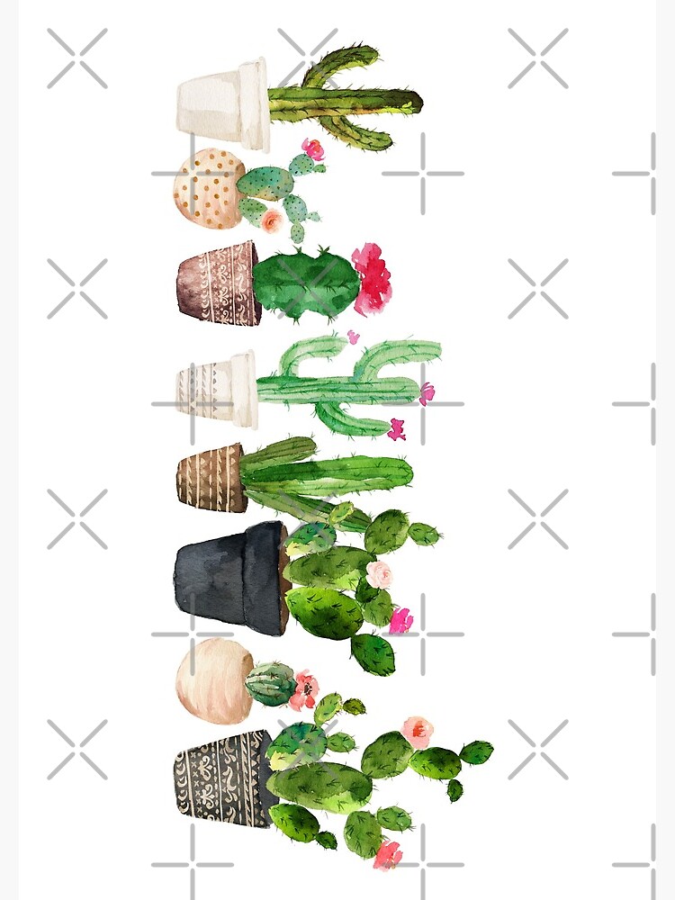 Cactus by BekkaCampbell