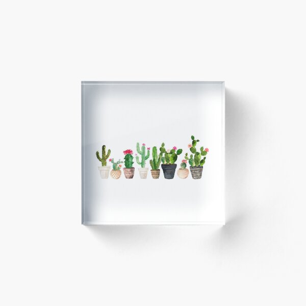 Cactus Acrylic Block
