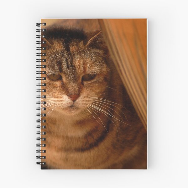 Item preview, Wanting Love designed and sold by Sandy Woolard.
