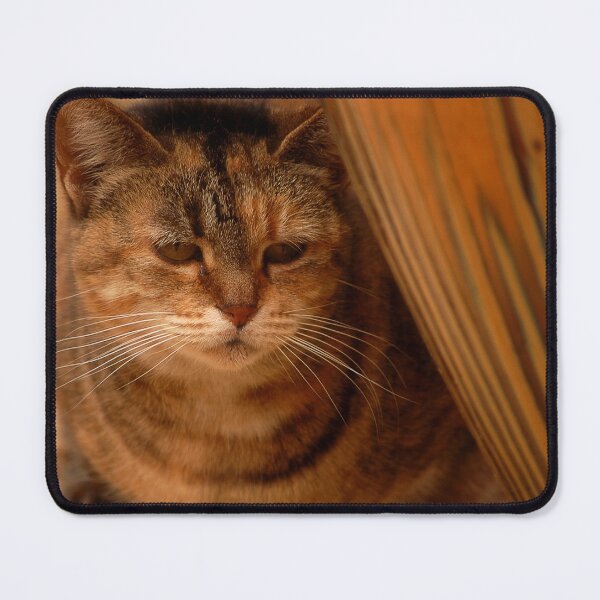 Item preview, Wanting Love designed and sold by Sandy Woolard.