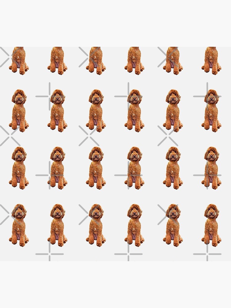 Disover Goldendoodle Golden Doodle Labradoodle Cute Puppy Dog Socks