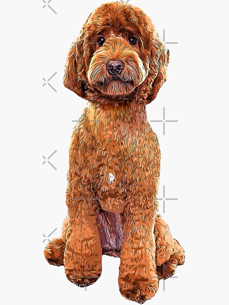 Cute, Labradoodle Dog Stickers, Vinyl Stickers for Water Bottle