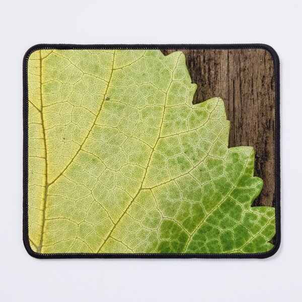 Item preview, Green and Yellow Leaf designed and sold by arfff.