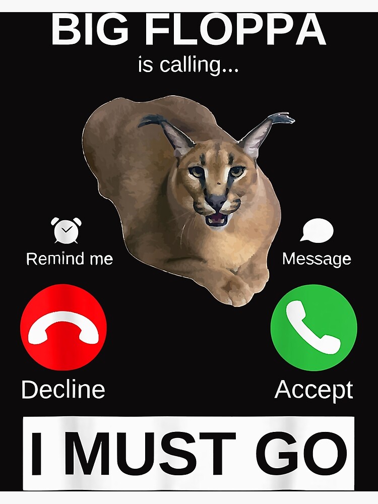  meme cat caracal big floppa joke ironic humor funny