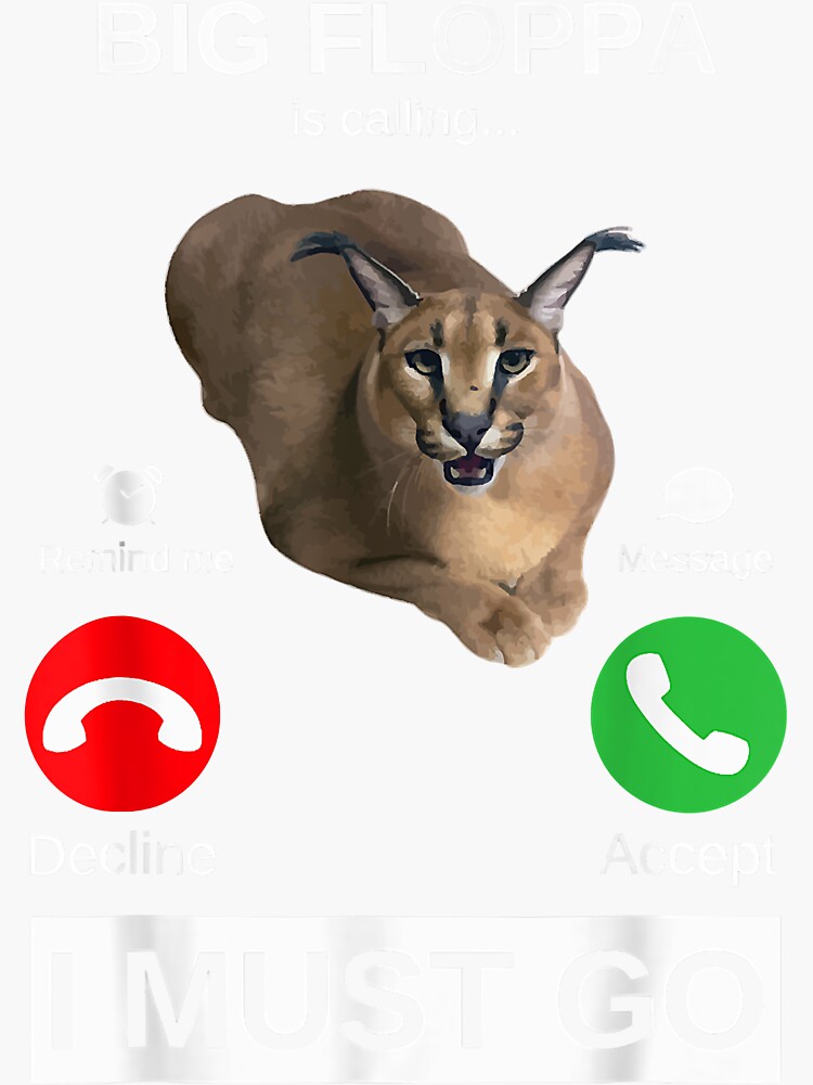  meme cat caracal big floppa joke ironic humor funny