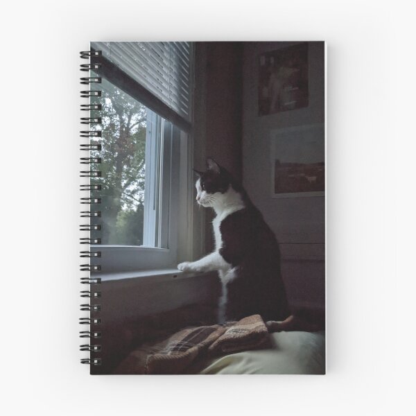 Item preview, Beautiful Cat at the Window designed and sold by arfff.