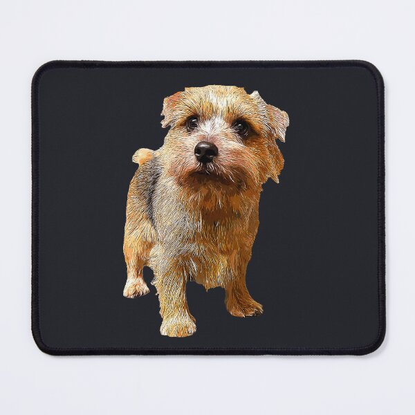 Artikelvorschau, Norfolk Terrier entworfen und verkauft von ElegantCat.