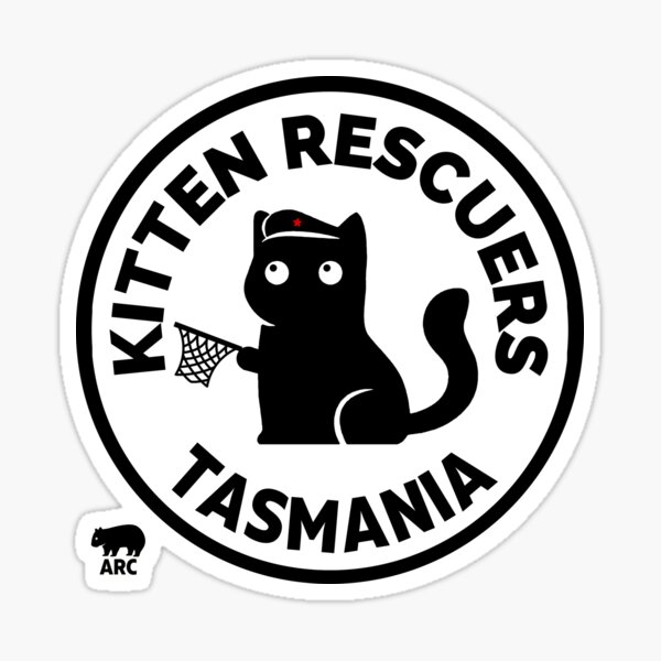 Kitten best sale rescuers netflix