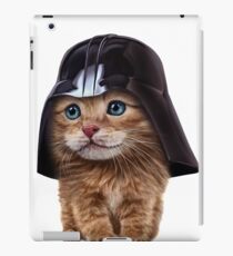 Fluffy Siamese Cat Wearing Darth Helmet iPad Case/Skin